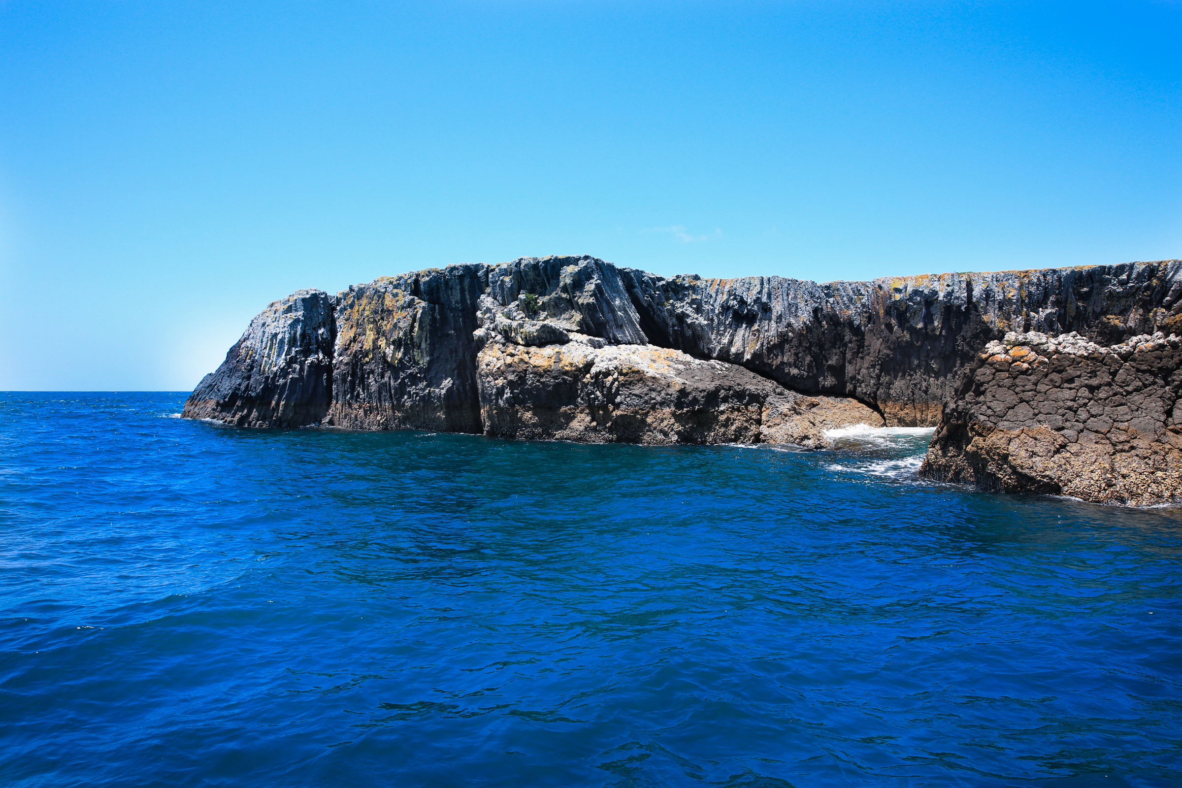 russel, bay of islands 04.webp